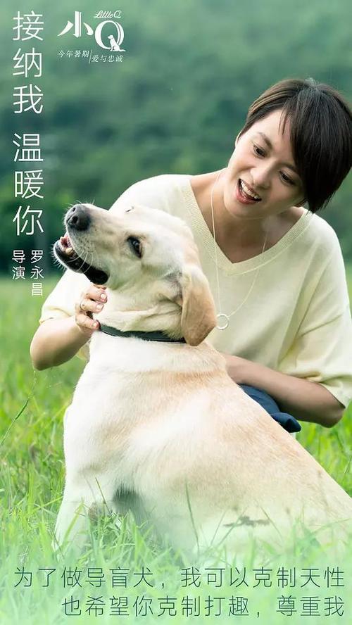 购买环境影响评价师证多少钱